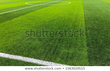 Zdjęcia stock: Green Artificial Grass Turf Soccer Football Field With White And