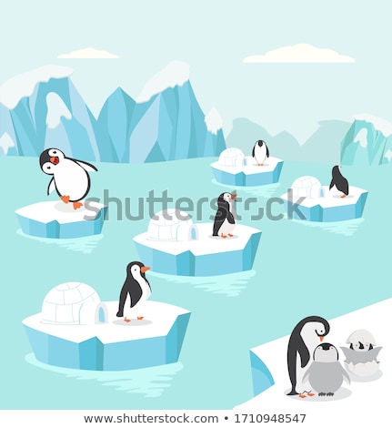 Stockfoto: Penguin Presenting