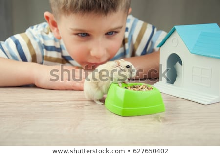 Stock photo: Child With Hamster