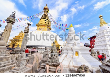 Foto stock: Monkey At Buddhist Shrine Swayambhunath Stupa View At Kathmandu
