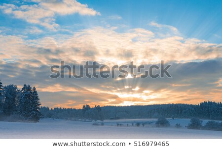 Foto stock: Ol · nascendo · em · uma · bela · floresta · com · árvores · congeladas · no · inverno