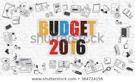 Foto d'archivio: Budget 2016 Concept With Doodle Design Icons