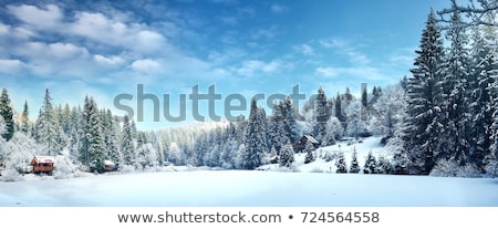 Stock photo: Winter Panorama