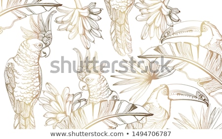 [[stock_photo]]: Parrot Card Vector Line Art Exotic Palm Leaves Decors Summer Party Backgrounds