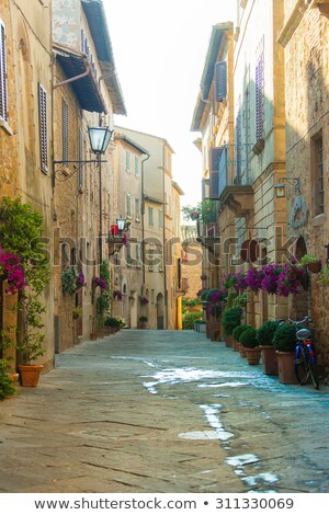 Foto stock: Flowered Tuscan Landscape