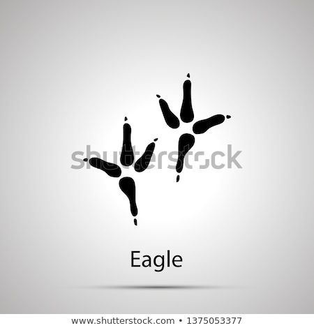 Сток-фото: Eagle Paws Steps Imprints Simple Black Silhouette