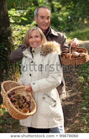 Stock fotó: Couple Gathering Chestnuts