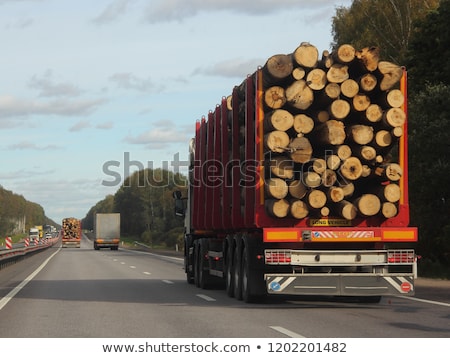 Zdjęcia stock: Pine Timber On Logging Trailer