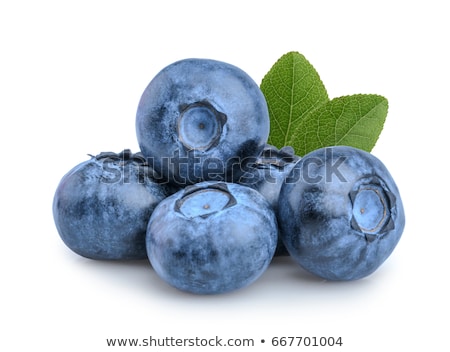 Stockfoto: Blueberry