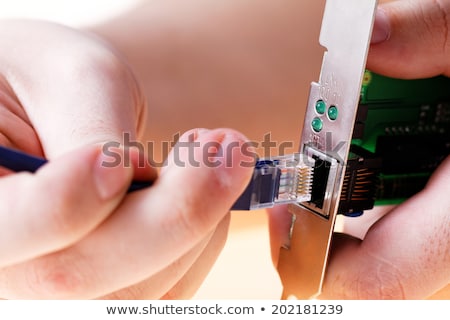 Stok fotoğraf: Utp Connector Rj 45 Ethernet Card