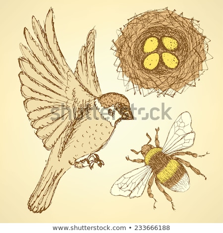 ストックフォト: Sketch Set With Sparrow Bee And Nest In Vintage Style