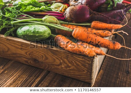 Stock fotó: Basket Of Fresh Organic Veg