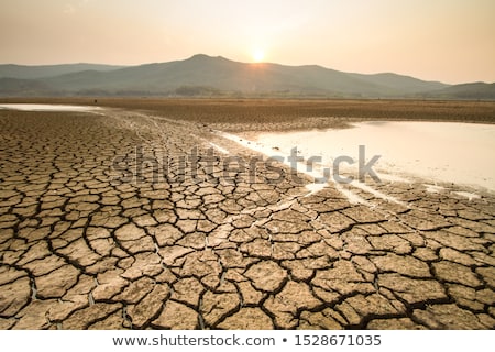 Stockfoto: Drought