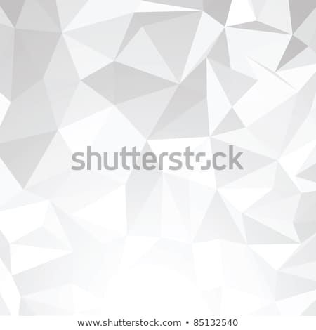 Foto d'archivio: Abstract 3d Wire Vector Background Eps 8