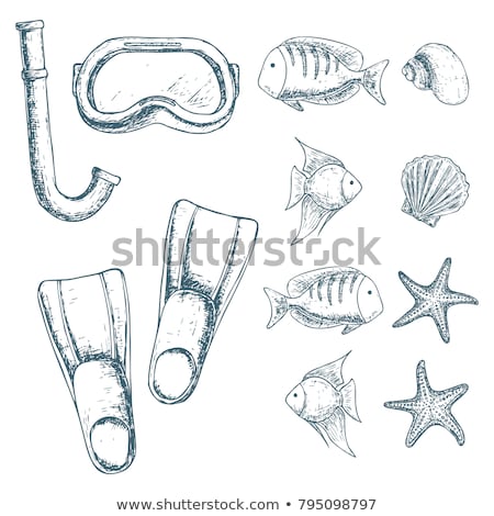 Stock photo: Flippers Sketch Icon