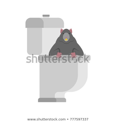 Foto stock: Rat In Toilet Rodent Is In Wc Anti Santry Dirty Toilet Vecto