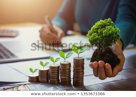 Stock fotó: Ecological Accounting