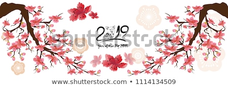 Stok fotoğraf: Chinese New Year Lantern With Cherry Blossom Red Background