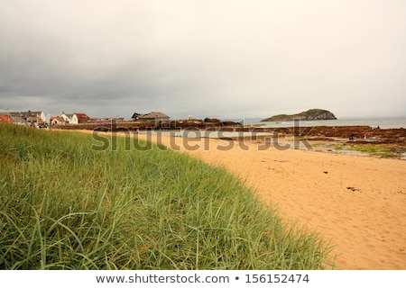 The Beach At North Berwick East Lothian ストックフォト © Julietphotography