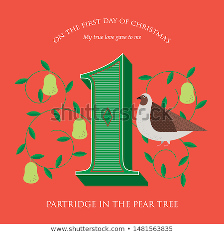 Stock photo: Partridge In A Pear Tree