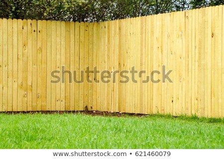 Foto stock: Ovo · fundo · de · cerca · de · madeira · de · cedro