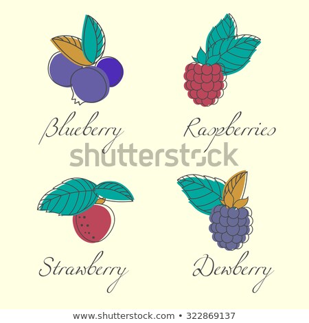 Stockfoto: Ripe Berries And Flowers Vector Set Of Strawberry Raspberry And Blueberry