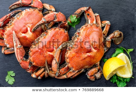 Stok fotoğraf: Top View Of Red King Crab Meat Served On White Plate