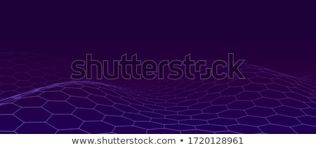 Stock fotó: Abstract Digital Wireframe Mesh Vector Background