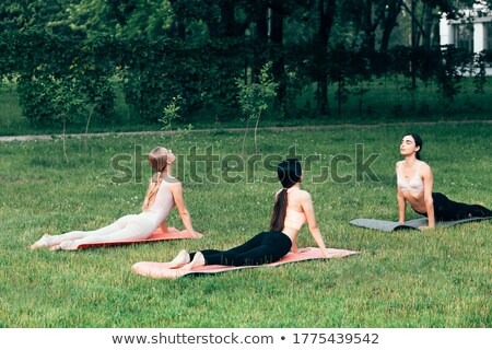 [[stock_photo]]: Group Of People Doing Cobra Pose Outdoors
