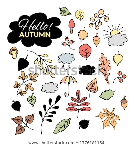 Foto stock: Vector Set Of Autumn Drawings Contour And Color - Various Leaves And Branches Berries And Acorns