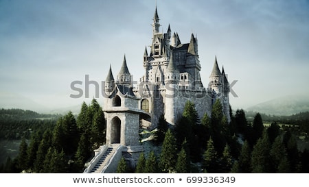 Stock foto: Medieval Castle