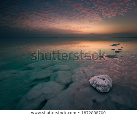 Сток-фото: Salt Formations On Dead Sea In Israel