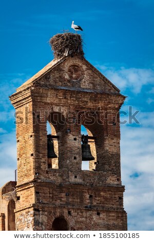 Stock fotó: Storks On The Church Cross