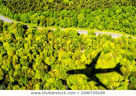 Stock photo: Shadow Of Plane On Forest Background