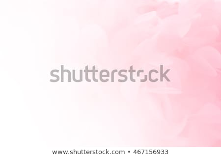 Foto stock: Vintage Background With Pink Roses