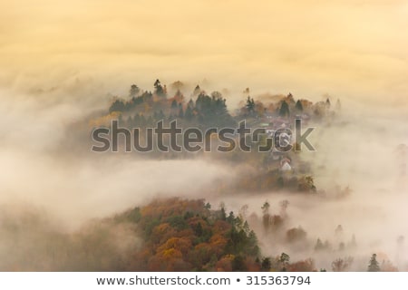 Foto d'archivio: Vibrant Sunset In Black Forest Germany