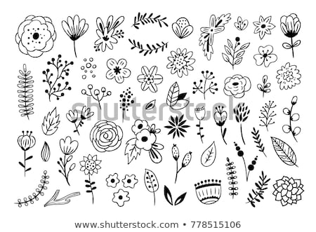 Stockfoto: Doodle Floral Collection