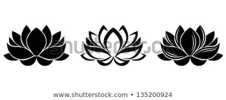 ストックフォト: Stylized Lotus Flower