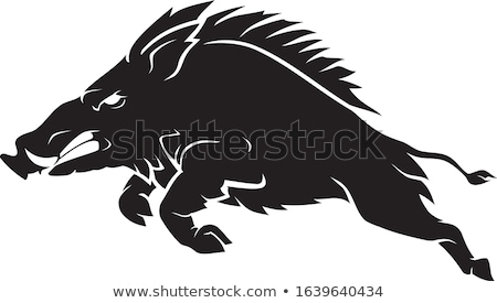 Foto stock: The Razorback