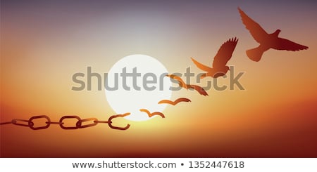 Stock photo: Breaking Free