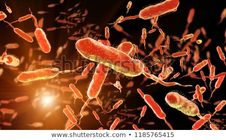 Zdjęcia stock: Vibrio Cholerae Bacteria