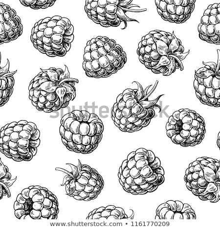 Stockfoto: Vintage Raspberries Seamless Pattern