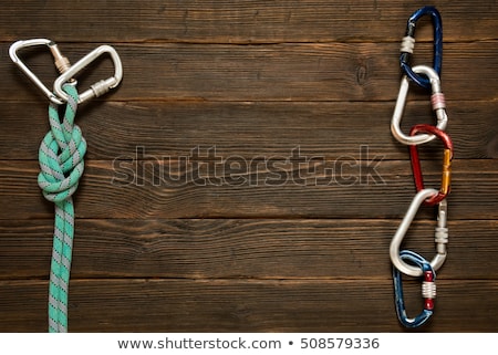 [[stock_photo]]: Blue Carabiner With Text Insurance