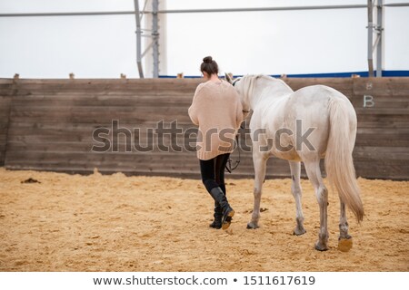 Stockfoto: Young Woman Holding Bridles Of White Racehorse While Moving Down Sandy Arena