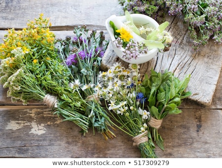 Stock photo: Herbs Medicine And Vintage Wooden Background