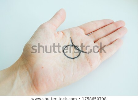 ストックフォト: Female Hands Opening To Light And Holding Zodiac Sign For Taurus