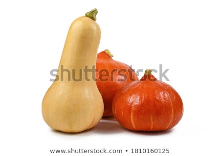 Zdjęcia stock: Red Hokkaido Squash On White Background