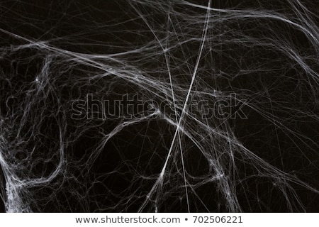 Stockfoto: Halloween Decoration Of Spider Web Over Black