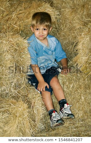 [[stock_photo]]: Children Sitting In Haystack In Stable