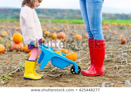 Сток-фото: Legs In Rubber Boots On A Background Of Red Yellow Orange Autumn